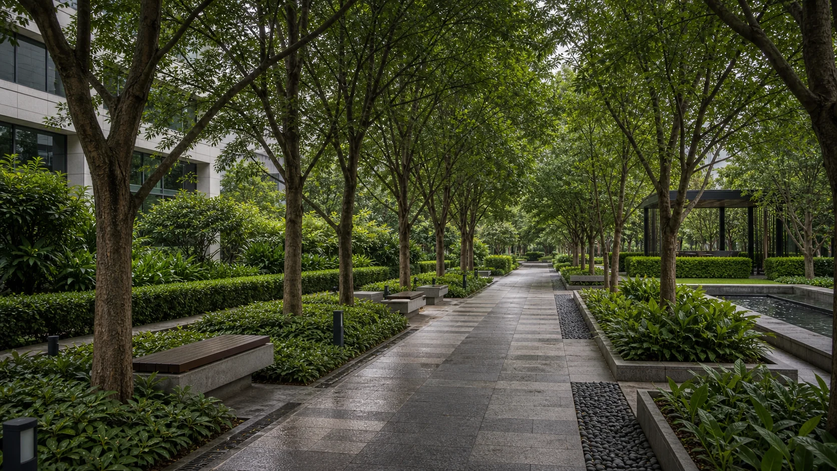 Corporate office landscape with arrival planting, avenue trees, and clean pedestrian access design.