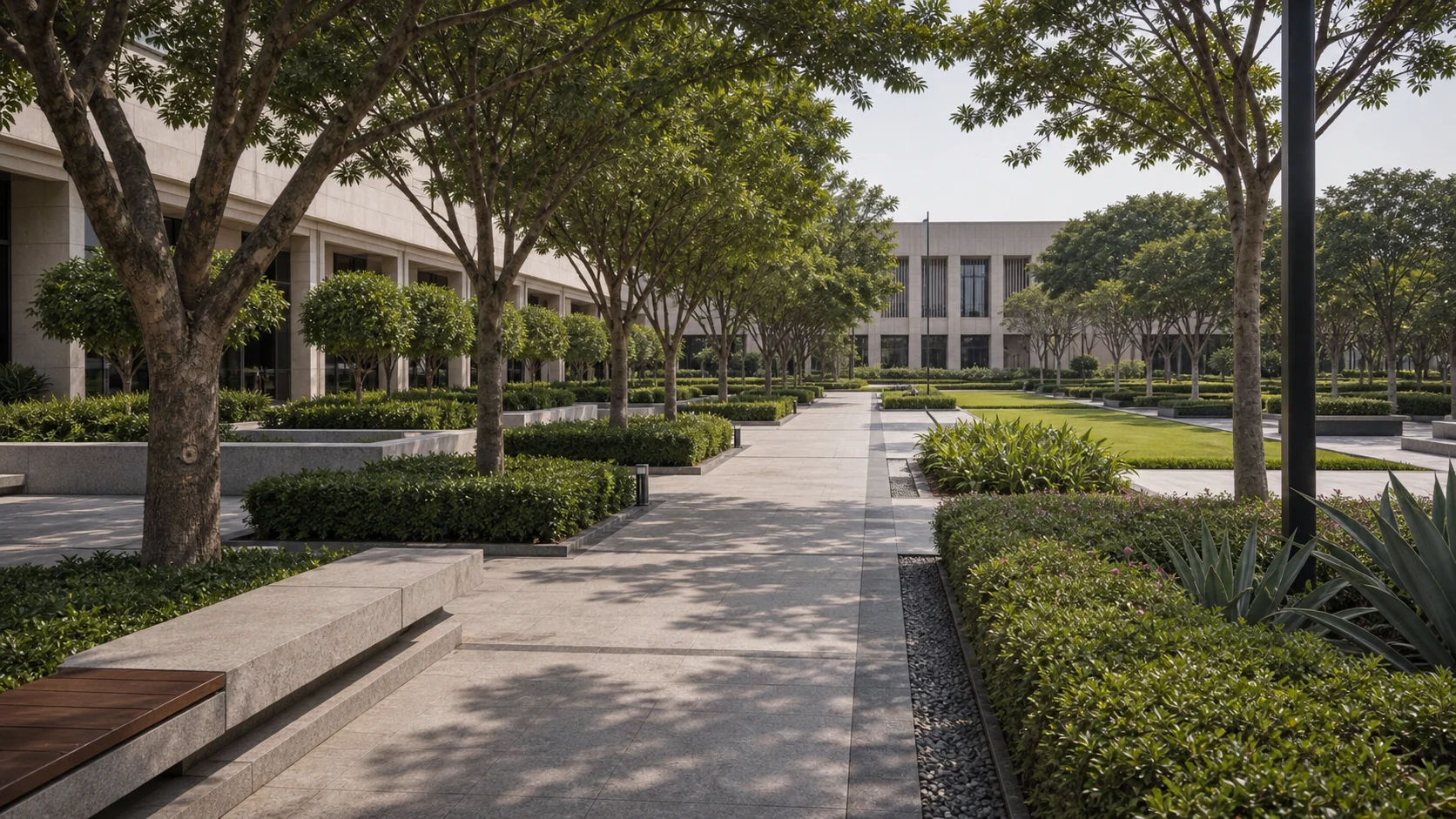 Public institutional forecourt with formal planting, shade trees, and civic arrival landscape structure.