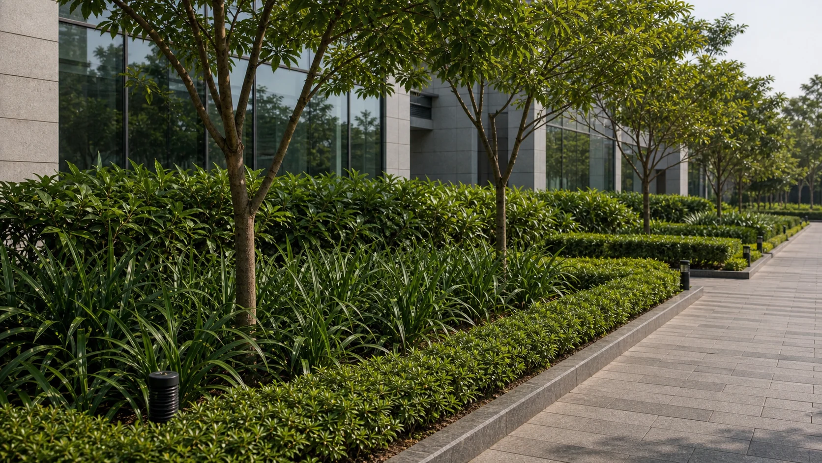 Bengaluru commercial landscape after maintenance with layered planting and shade trees