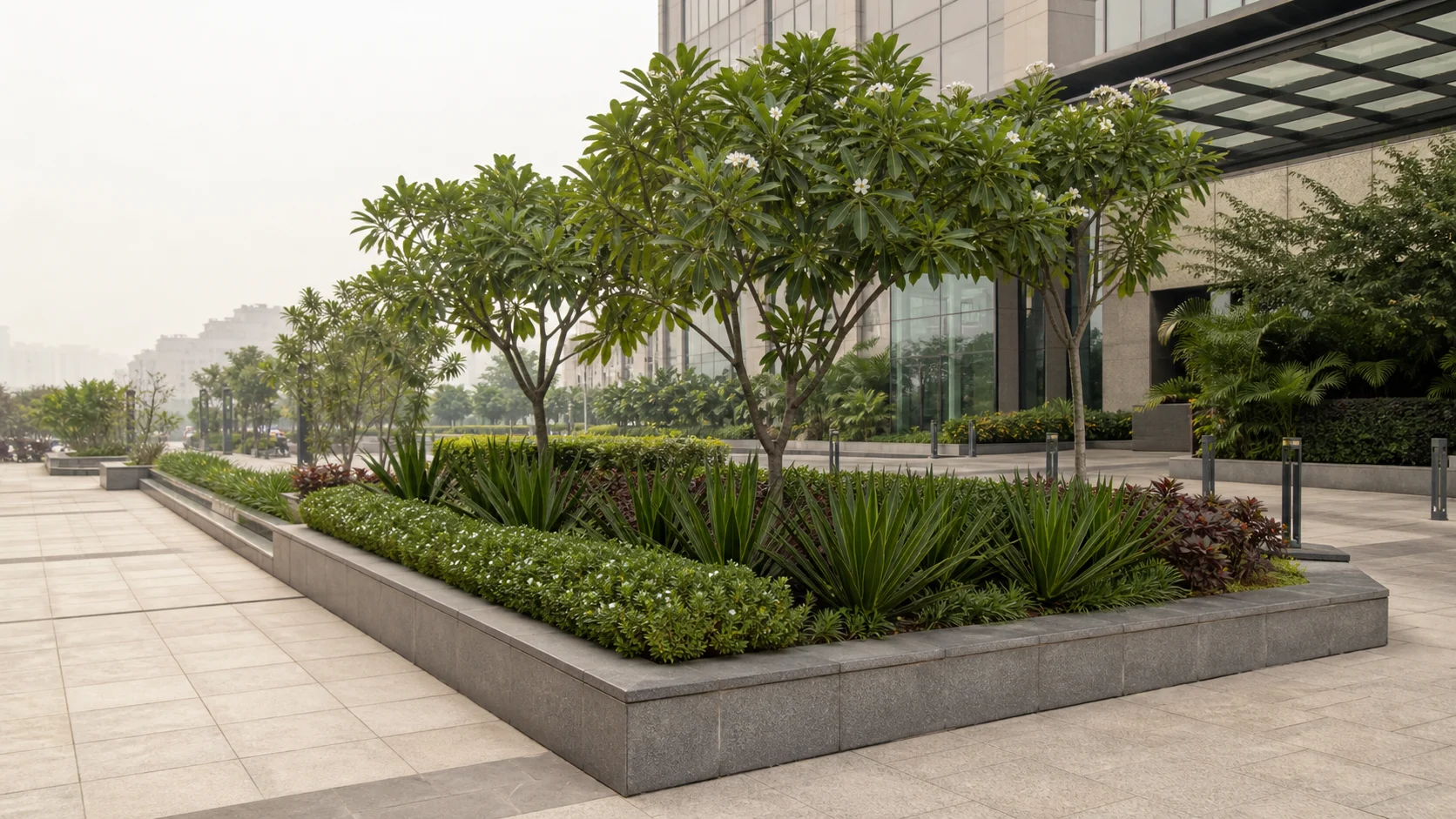 Commercial landscape planting suited to North Indian heat and seasonal transitions