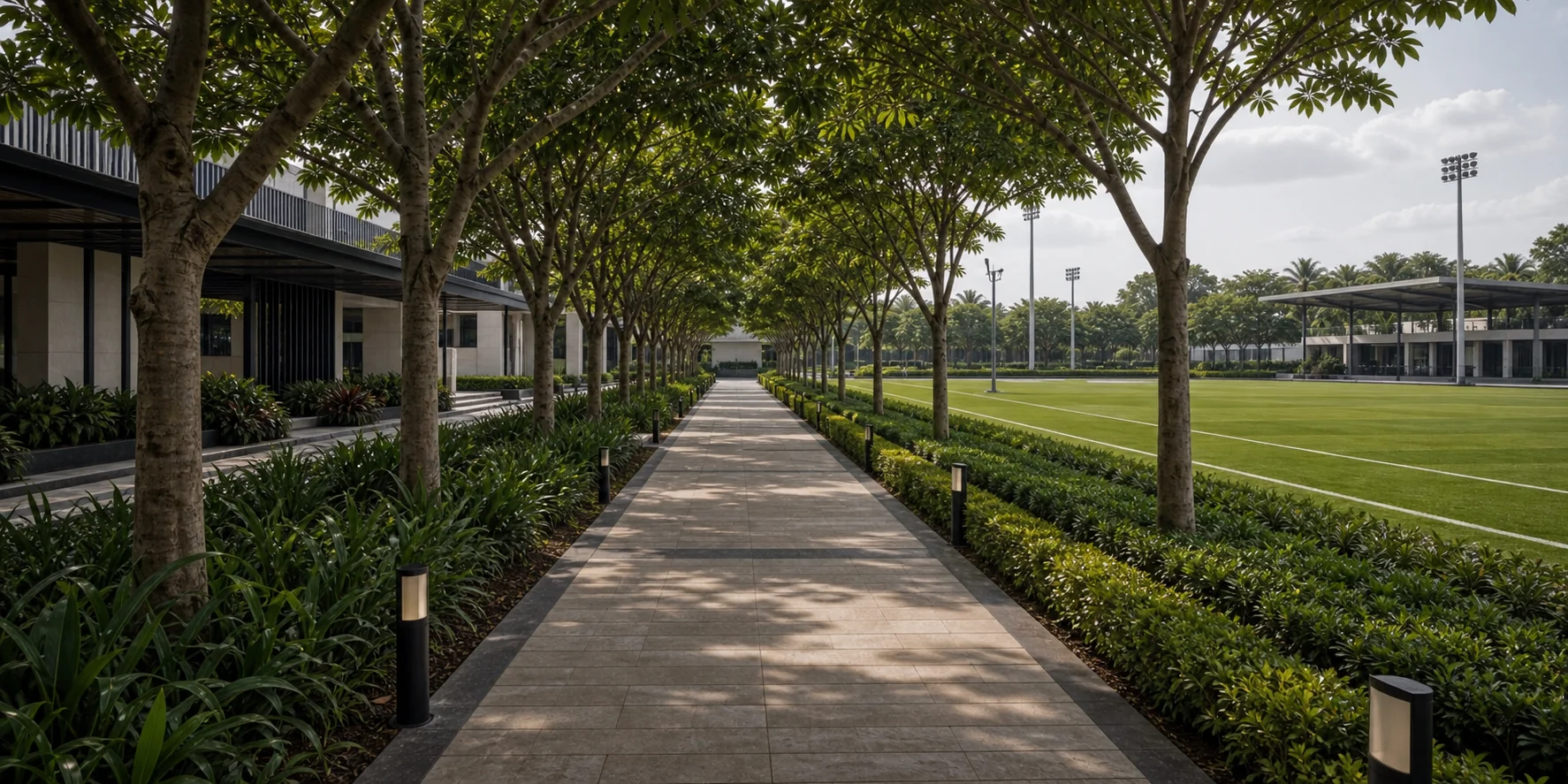 Seg 31 Sports 2 Landscape Visual