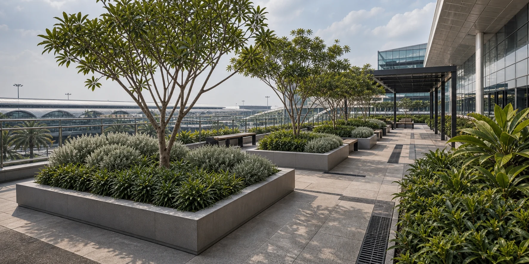 Seg 37 Airport 2 Landscape Visual
