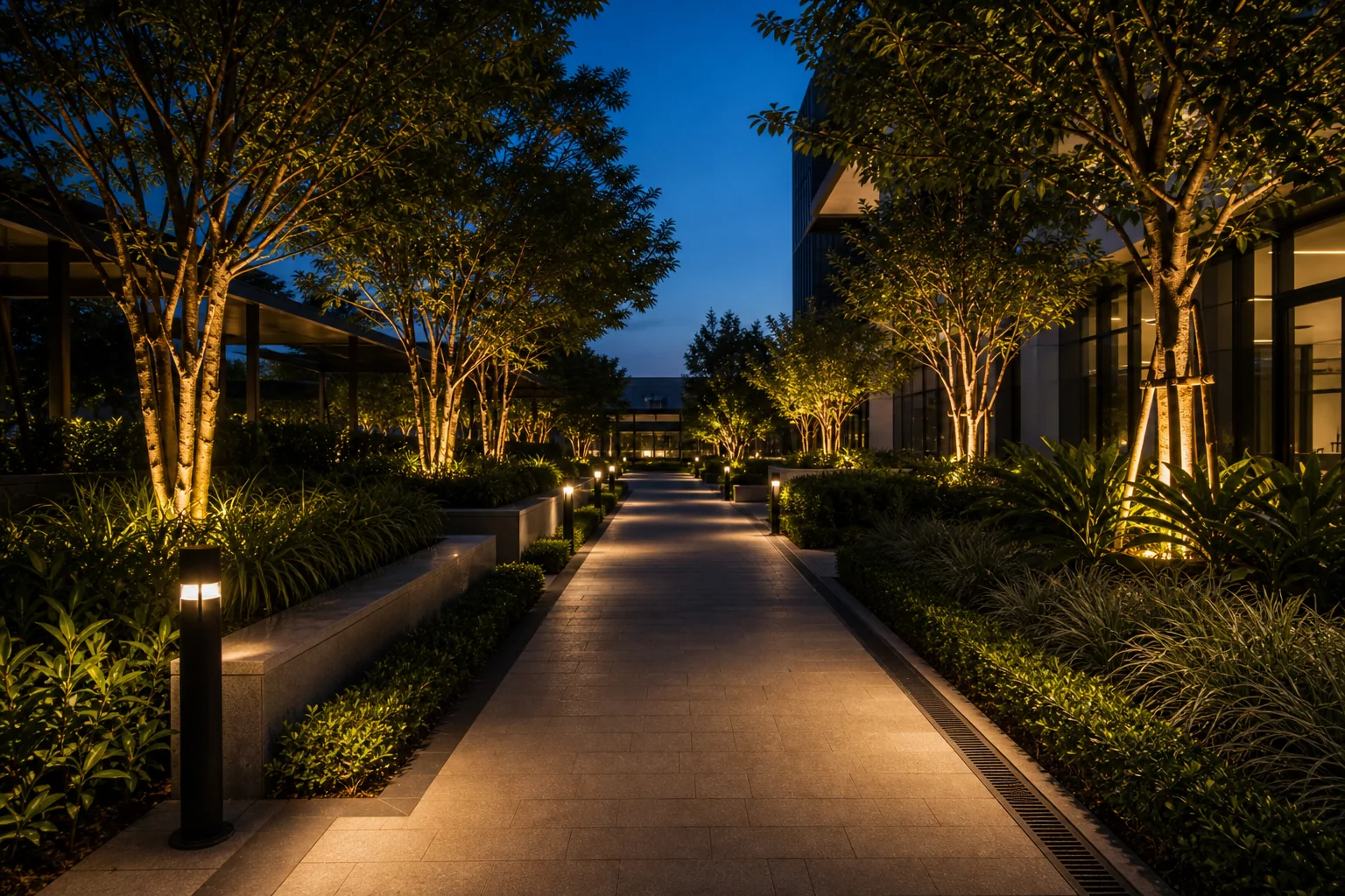 Commercial landscape bollard lighting along a planted walkway with warm LED path illumination at dusk.