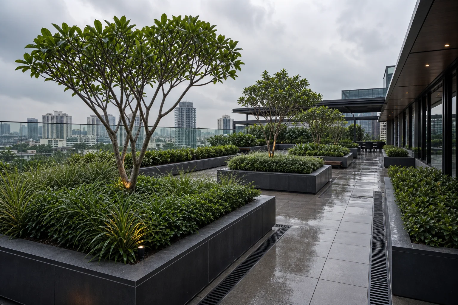 Maintained podium hedge buffer and planter edge for elevated commercial landscape privacy.