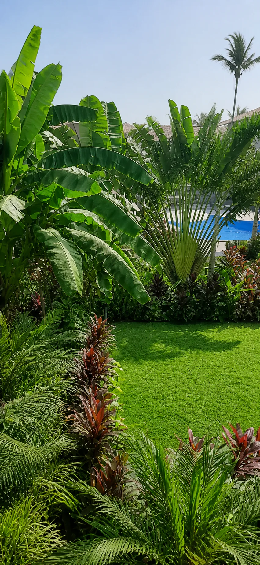 Hyatt Place Goa Candolim manicured tropical lawn surrounded by traveller palms, banana leaves and ferns