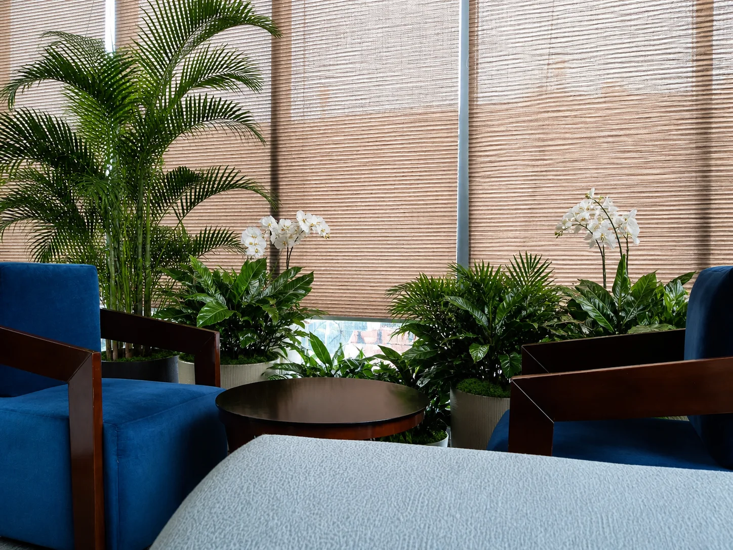 Radisson Lucknow blue-chair lounge framed by compact palms, glossy foliage and restrained white orchids.
