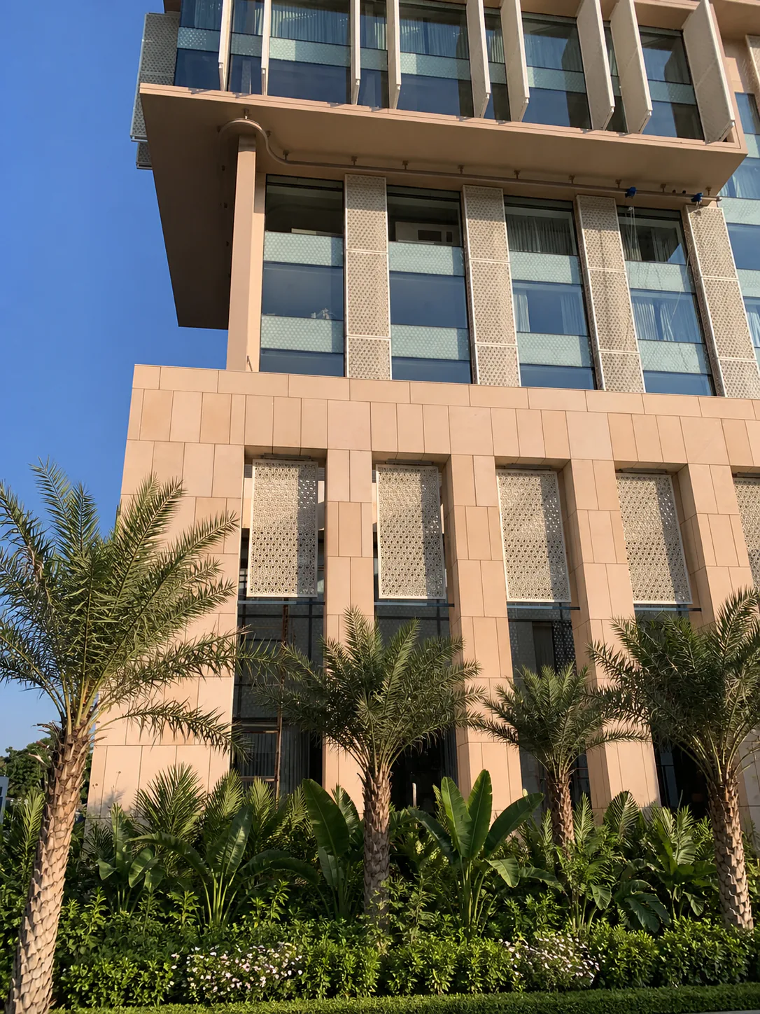 Vertical view of the Taj Amer Jaipur facade above date palms and dense geometric green planting.