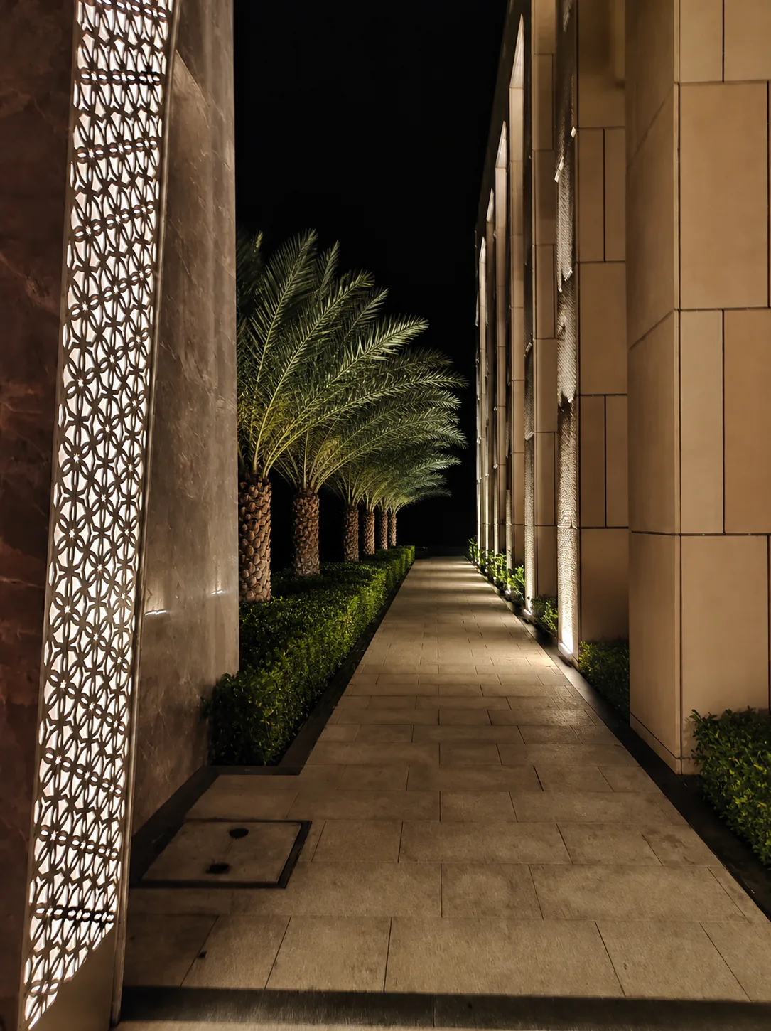 Taj Amer Jaipur night walkway lined with date palms, clipped hedges and warm facade lighting.