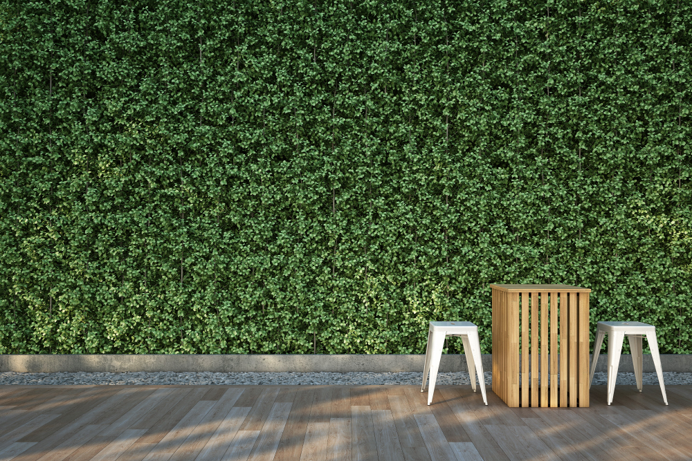 Fancy a lovely Vertical garden in your apartment? We’ve got some smart ideas