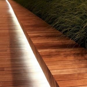 plantation of palms palm plantation horticulture services