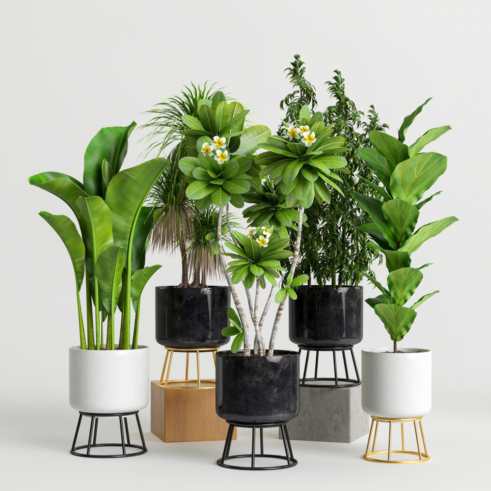 An assortment of artificial plants in modern planters, showcasing various textures and sizes, expertly arranged by Four Leaf Landscape to bring maintenance-free natural beauty to indoor spaces.