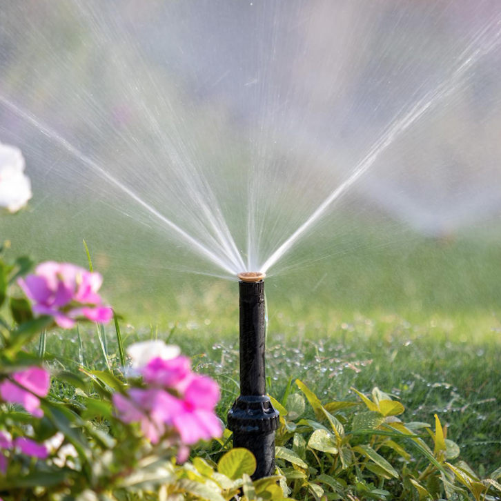 A close-up view of a landscape sprinkler by Four Leaf Landscape in action, with water droplets finely misting over green grass and blooming flowers, illustrating effective landscape irrigation.