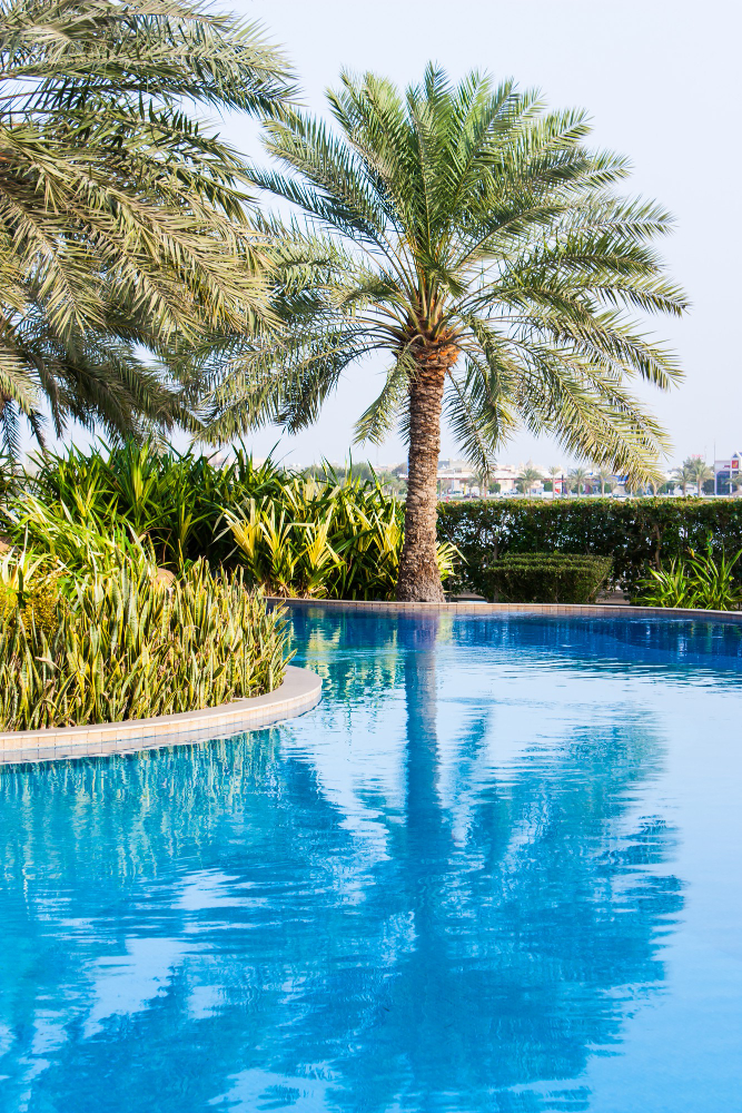 A majestic palm tree stands tall beside a serene pool, surrounded by dense foliage, encapsulating Four Leaf Landscape's signature blend of natural beauty and sophisticated design.