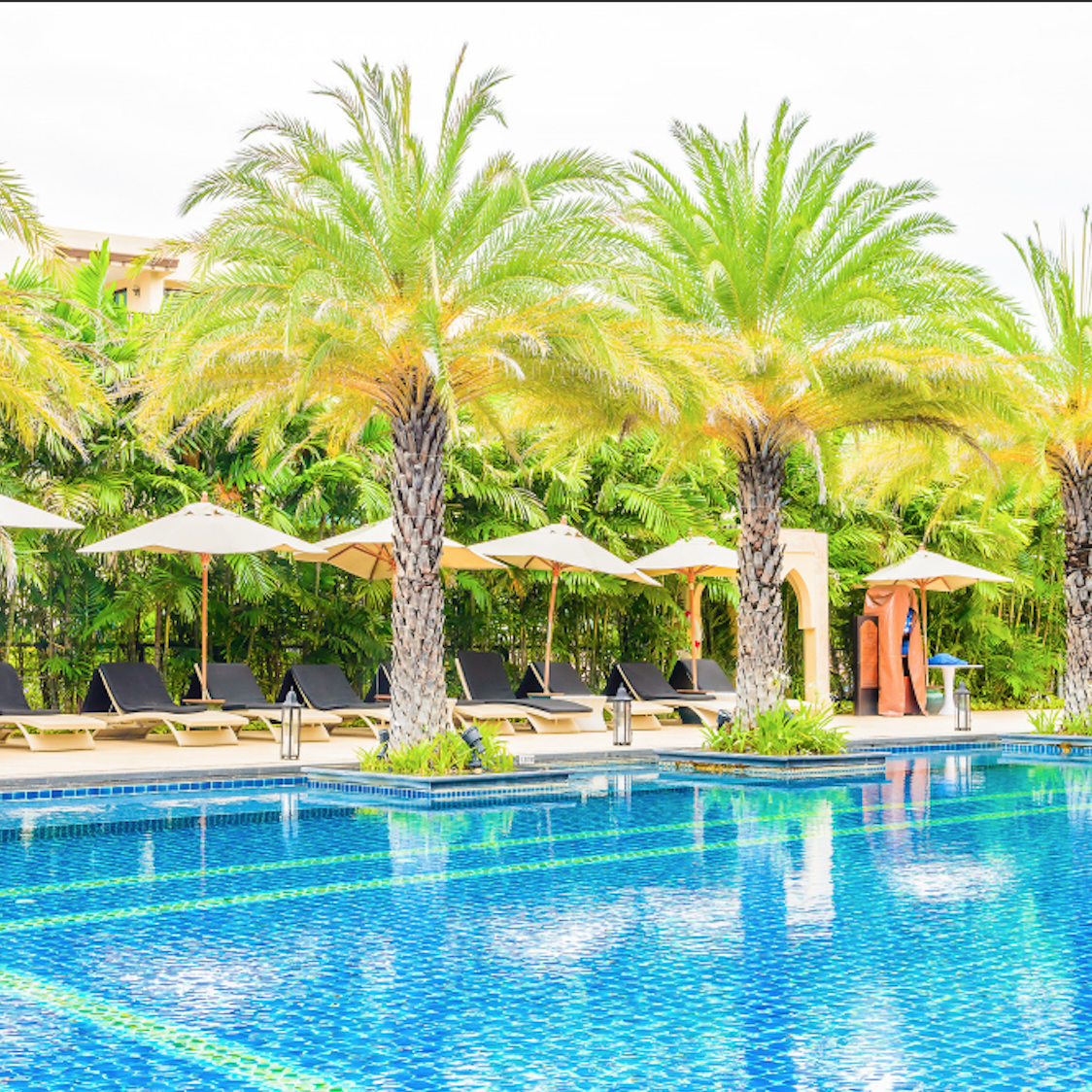 An inviting resort-style pool installation by Four Leaf Landscape, featuring clear blue water, lined with palm trees, umbrellas, and sun loungers.